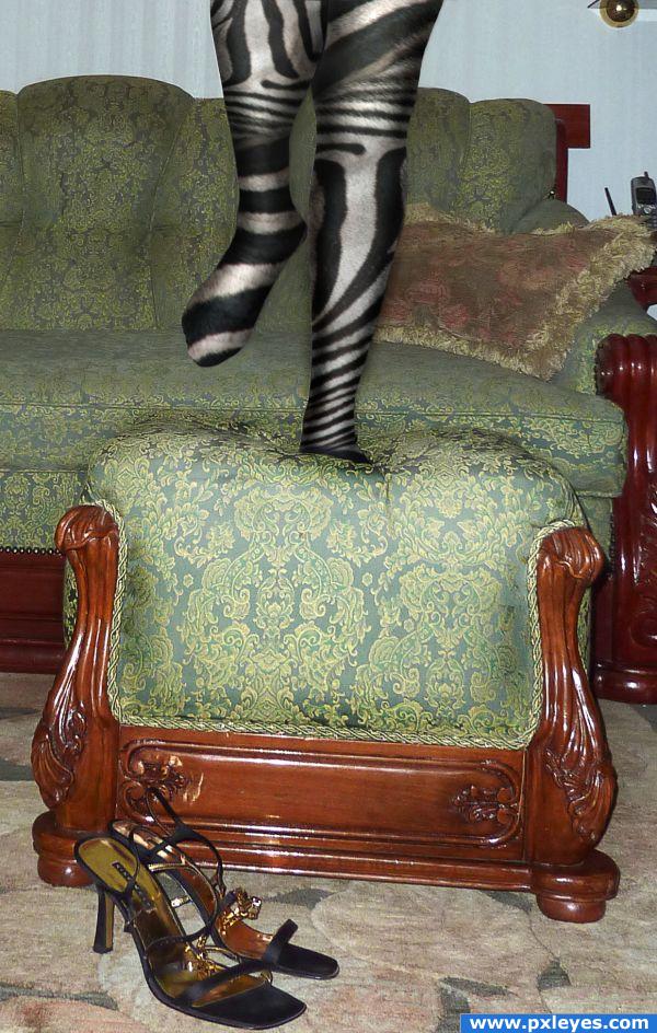 Zebra legs